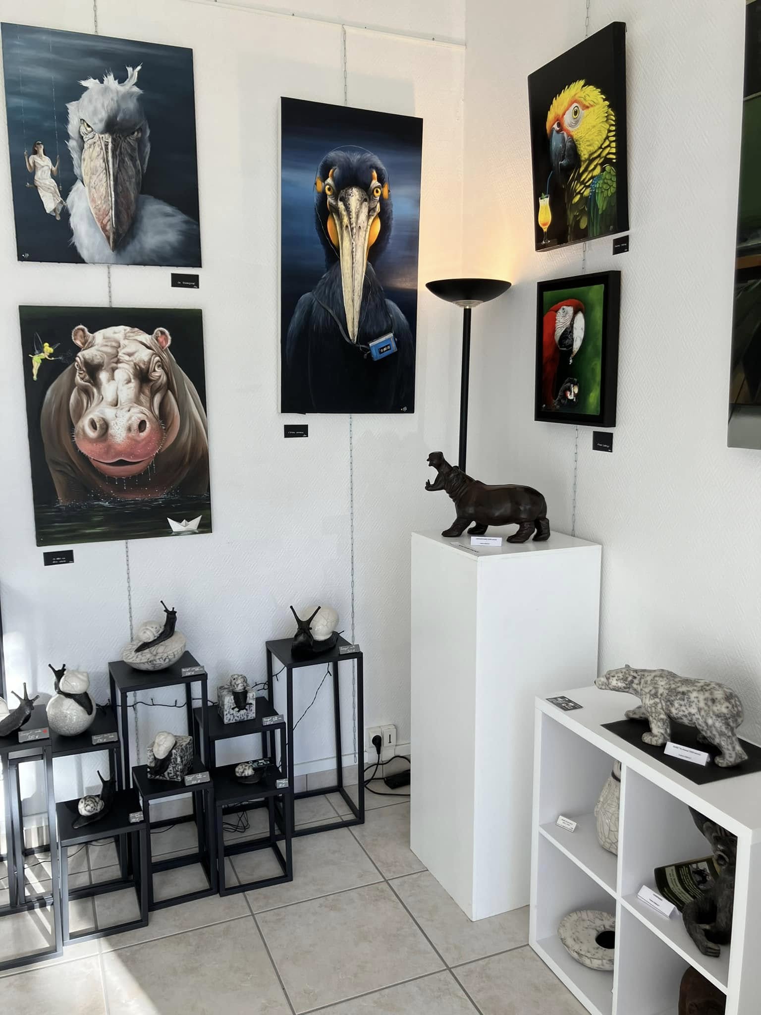 468185032_2443547032505880_995021915903490334_n