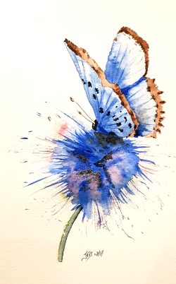 aquarelle, le papillon bleu