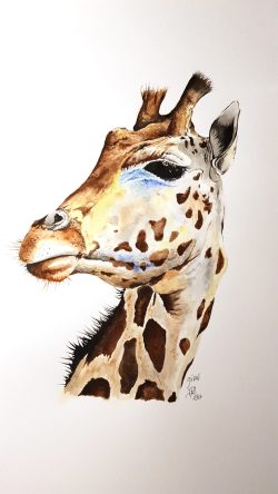 aquarelle, la girafe