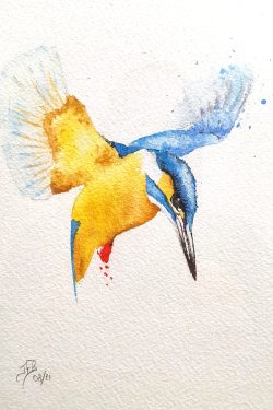 aquarelle, martin pécheur