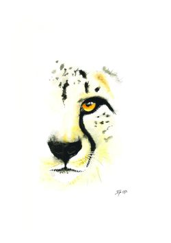 aquarelle, série félin, le guépard