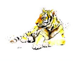 aquarelle, série félin, le jeune tigre
