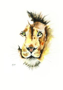 aquarelle, série félin, le lion