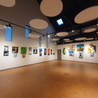 Jean-François Rousselot, artiste peintre toulousain, exposition médiathèque de Bessières