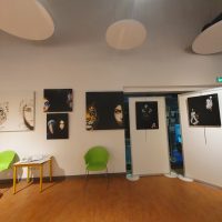 Jean-François Rousselot, artiste peintre toulousain, exposition médiathèque de Bessières