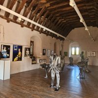 Jean-François Rousselot, artiste peintre toulousain, exposition villemur sur Tarn