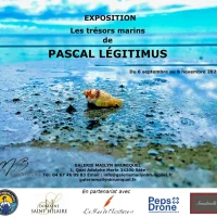 Jean-François Rousselot, artiste peintre toulousain, galerie Maïlyn Bruniquel à Sète avec Pascal Légitimus