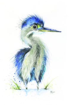 aquarelle, héron juvénile